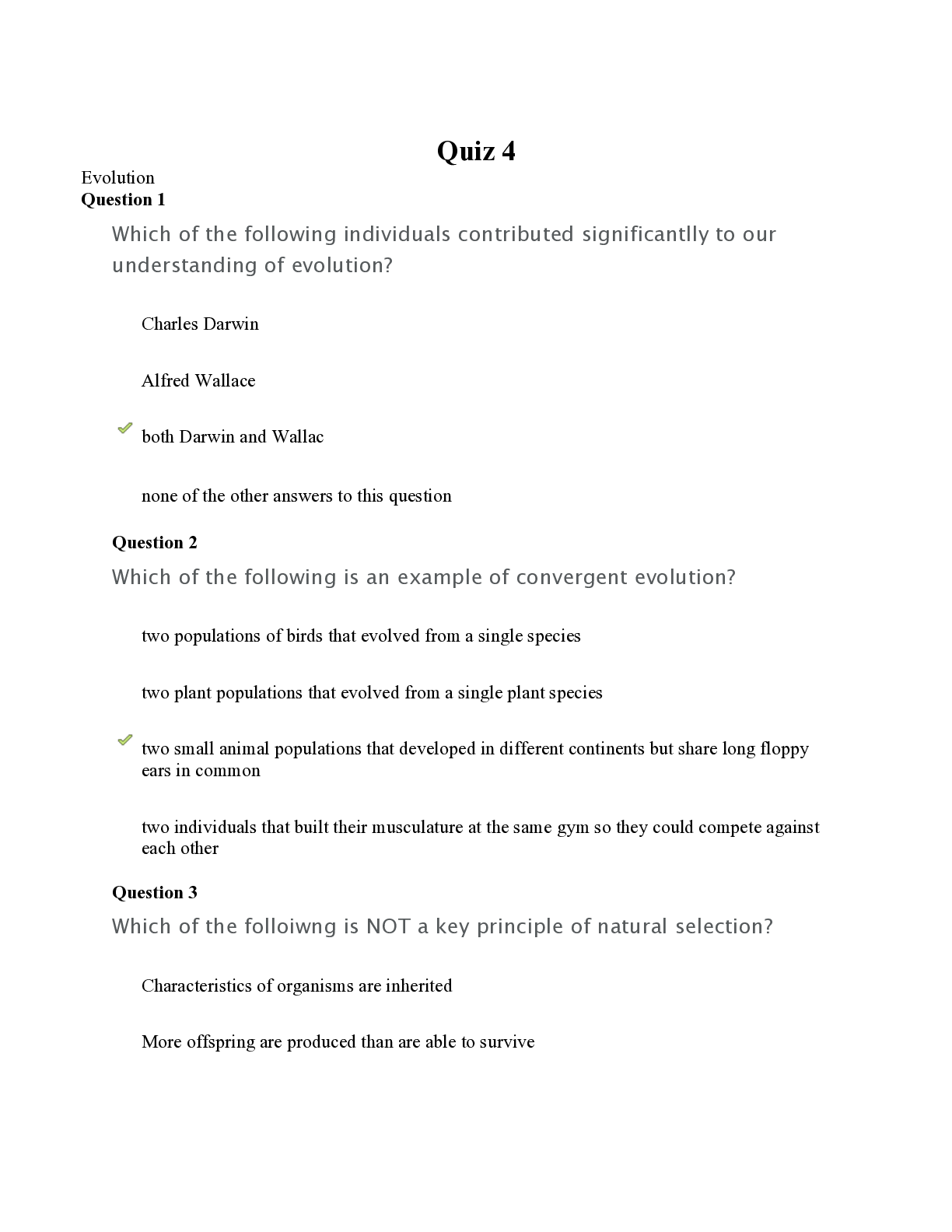 document-preview
